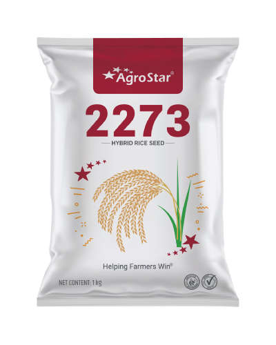 Agrostar 2273 Paddy (3 Kg) Seeds