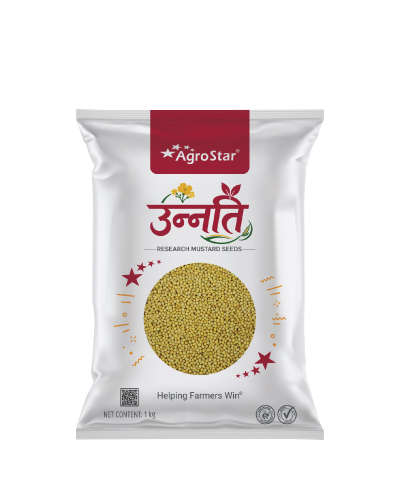 Agrostar Unnati Yellow Mustard (1Kg) Seeds