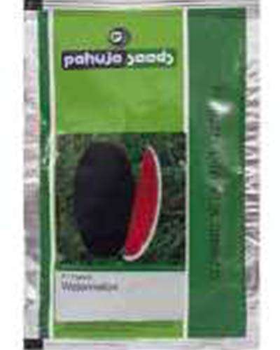Suman 235 Watermelon (50g) Seeds