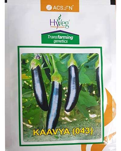 Acsen Hyveg Kaavya Brinjal (10g) Seeds