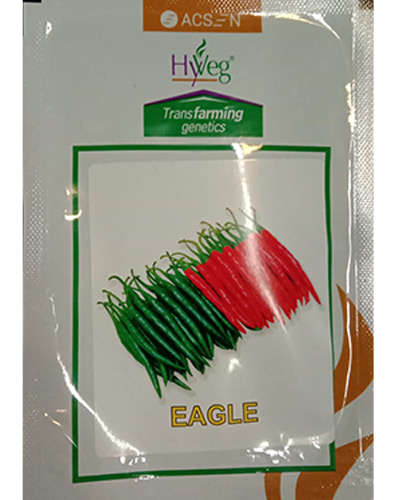 Acsen Hyveg Eagle Chilli (10g) Seeds