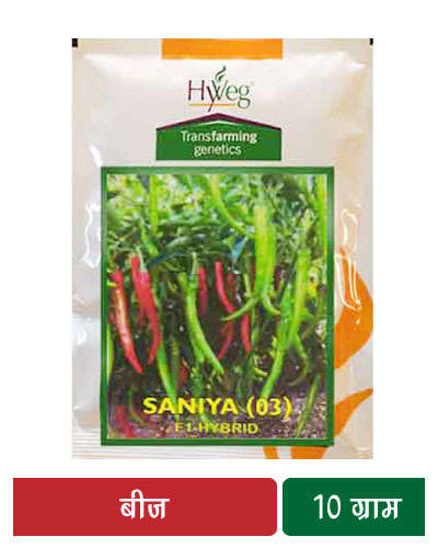 Acsen Hyveg Saniya Chilli (10g) Seeds