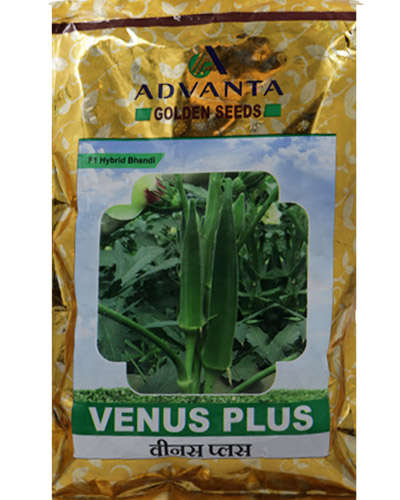 UPL Venus Plus Okra (250g) Seeds