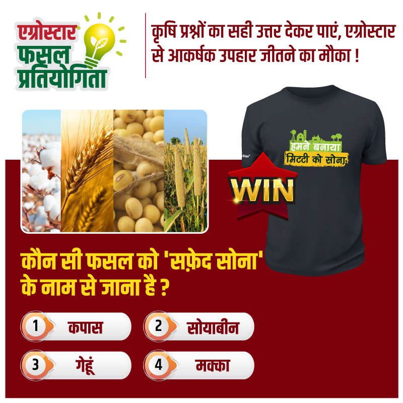 कोनसी फसल को 'सफ़ेद सोना'  के नाम से जाना है ?
1. कपास 
2. सोयाबीन 
3. गेहूं 
4. बाजरा