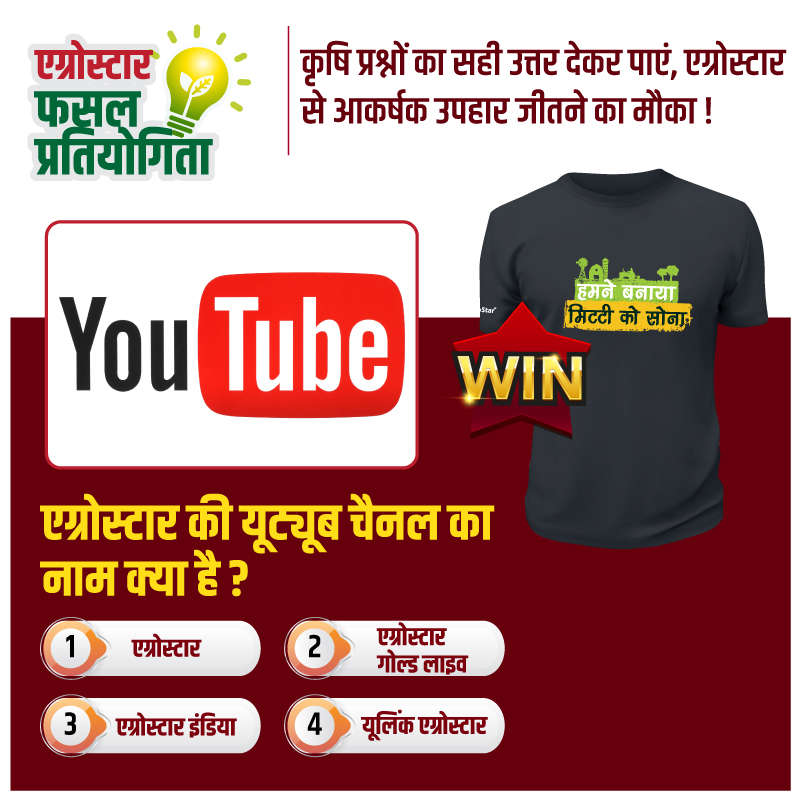 एग्रोस्टार की यूट्यूब चैनल का नाम क्या है ?
1. एग्रोस्टार 
2. एग्रोस्टार गोल्ड लाइव 
3. एग्रोस्टार इंडिया
4. यूलिंक एग्रोस्टार"