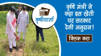 कृषि मंत्री ने कहा इस खेती पर सरकार देगी अनुदान!