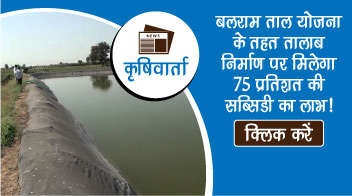 बलराम ताल योजना के तहत तालाब निर्माण पर मिलेगा 75 प्रतिशत की सब्सिडी का लाभ!
