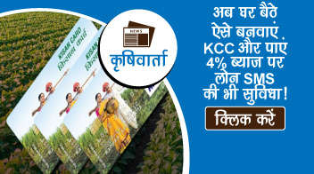 अब घर बैठे ऐसे बनवाएं KCC और पाएं 4% ब्याज पर लोन, SMS की भी सुविधा!
