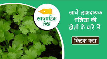 जानें लाभदायक धनिया की खेती के बारे में  