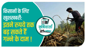 किसानों के लिए खुशखबरी: इतने रुपये तक बढ़ सकते हैं गन्ने के दाम!
