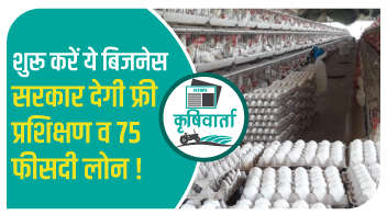 शुरू करें ये बिजनेस सरकार देगी फ्री प्रशिक्षण व 75 फीसदी लोन!