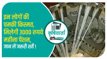 इन लोगों की चमकी किस्मत, मिलेगी 3000 रुपये महीना पेंशन, जान लें जरूरी शर्तें!