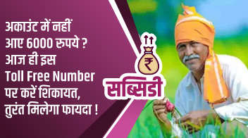 अकाउंट में नहीं आए 6000 रुपये? आज ही इस Toll Free Number पर करें शिकायत, तुरंत मिलेगा फायदा