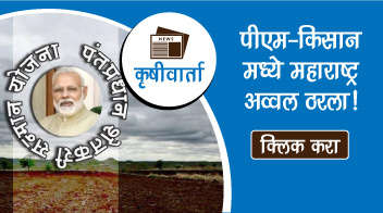 पीएम-किसान’मध्ये महाराष्ट्र अव्वल ठरला!
