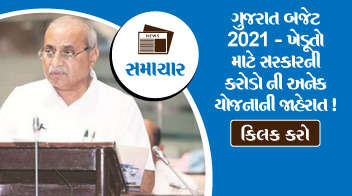ગુજરાત બજેટ 2021 - ખેડૂતો માટે સરકારની કરોડો ની અનેક યોજનાની જાહેરાત !  

