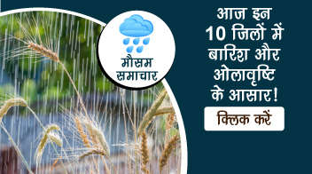 मौसम समाचार! आज इन 10 जिलों में बारिश और ओलावृष्टि के आसार!