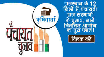 राजस्थान के 12 जिलों में पंचायती राज संस्थाओं के चुनाव, जानें निर्वाचन आयोग का पूरा प्लान!