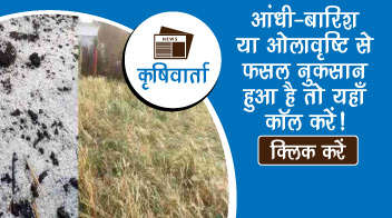 आंधी-बारिश या ओलावृष्टि से फसल नुकसान हुआ है तो यहाँ कॉल करें!
