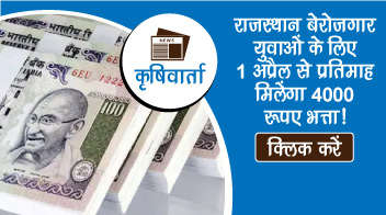 राजस्थान बेरोजगार युवाओं के लिए 1 अप्रैल से प्रतिमाह मिलेंगा 4000 रूपए भत्ता!