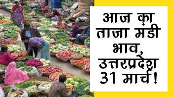 जानिये क्या हैं उत्तरप्रदेश में आज के मंडी भाव!