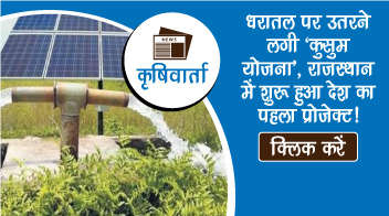 धरातल पर उतरने लगी 'कुसुम योजना', राजस्थान में शुरू हुआ देश का पहला प्रोजेक्ट!