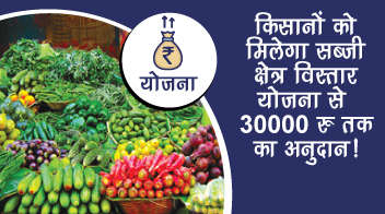 किसानों को मिलेगा सब्जी क्षेत्र विस्तार योजना से 30000 रु० तक का अनुदान!