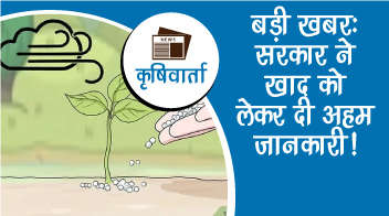 बड़ी खबर: सरकार ने खाद को लेकर दी अहम जानकारी!