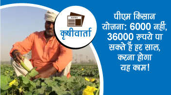 पीएम किसान योजना: 6000 नहीं, 36000 रुपये पा सकते हैं हर साल, करना होगा यह काम!