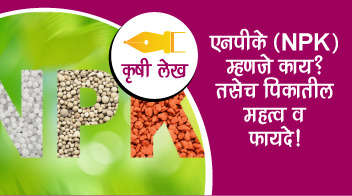 एनपीके (NPK) म्हणजे काय? तसेच पिकातील महत्व व फायदे!