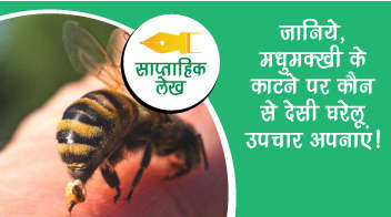 जानिये, मधुमक्खी के काटने पर कौन से देसी घरेलु उपचार अपनाएं!