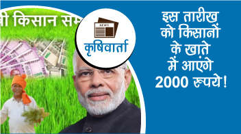 इस तारीख को किसानों के खाते में आएंगे 2000 रुपये!
