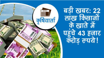 बड़ी खबर: 22 लाख किसानों के खाते में पहुंचे 43 हज़ार करोड़ रुपये!