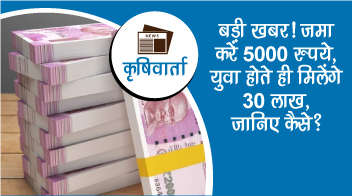 बड़ी खबर! जमा करें 5000 रुपये, युवा होते ही मिलेंगे 30 लाख, जानिए कैसे?
