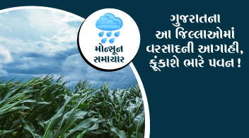 ગુજરાતના આ જિલ્લાઓમાં વરસાદની આગાહી, ફૂંકાશે ભારે પવન !