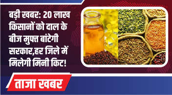 बड़ी खबर: 20 लाख किसानों को दाल के बीज मुफ्त बांटेगी सरकार, हर जिले में मिलेगी मिनी किट!