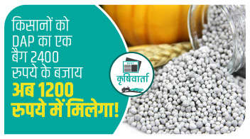 किसानों को DAP का एक बैग 2400 रुपये के बजाय अब 1200 रुपये में मिलेगा!