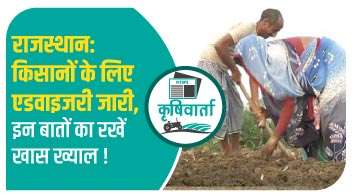 राजस्थान: किसानों के लिए एडवाइजरी जारी, इन बातों का रखें खास ख्याल!