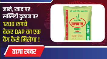 जाने, खाद पर सब्सिडी दुकान पर 1200 रुपये देकर DAP का एक बैग कैसे मिलेगा!
