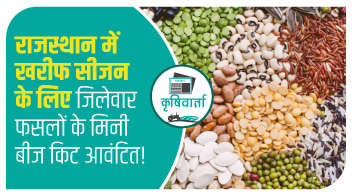 राजस्थान में खरीफ सीजन के लिए जिलेवार फसलों के मिनी बीज किट आवंटित!