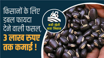 किसानों के लिए डबल फायदा देने वाली फसल, 3 लाख रुपए तक कमाई!