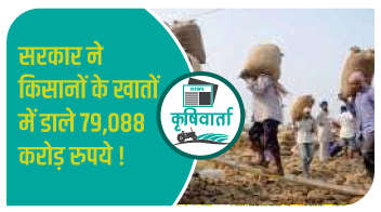 सरकार ने किसानों के खातों में डाले 79,088 करोड़ रुपये!