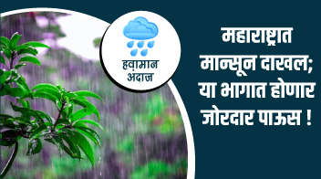 महाराष्ट्रात मान्सून दाखल; या भागात होणार जोरदार पाऊस!