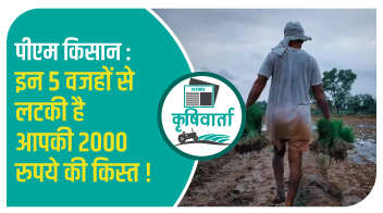 पीएम किसान: इन 5 वजहों से लटकी है आपकी 2000 रुपये की किस्त !