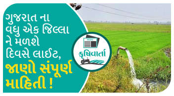 ગુજરાત ના વધુ એક જિલ્લા ને મળશે દિવસે લાઈટ, જાણો સંપૂર્ણ માહિતી !