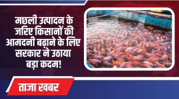 मछली उत्पादन के जरिए किसानों की आमदनी बढ़ाने के लिए सरकार ने उठाया बड़ा कदम!