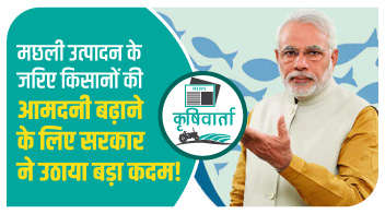 मछली उत्पादन के जरिए किसानों की आमदनी बढ़ाने के लिए सरकार ने उठाया बड़ा कदम!
