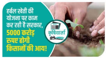 हर्बल खेती की योजना पर काम कर रही है सरकार, 5000 करोड़ रुपए होगी किसानों की आय!