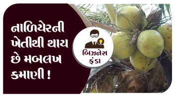 નાળિયેરની ખેતીથી થાય છે મબલખ કમાણી !
