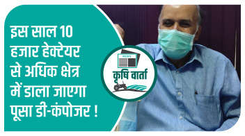इस साल 10 हजार हेक्टेयर से अधिक क्षेत्र में डाला जाएगा पूसा डी-कंपोजर!
