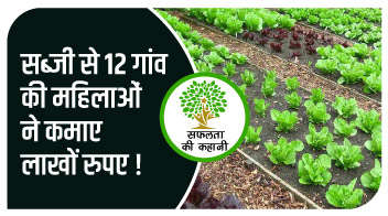 सब्जी से 12 गांव की महिलाओं ने कमाए लाखों रुपए!